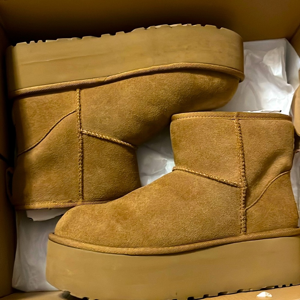 Women’s Mini Platform Uggs